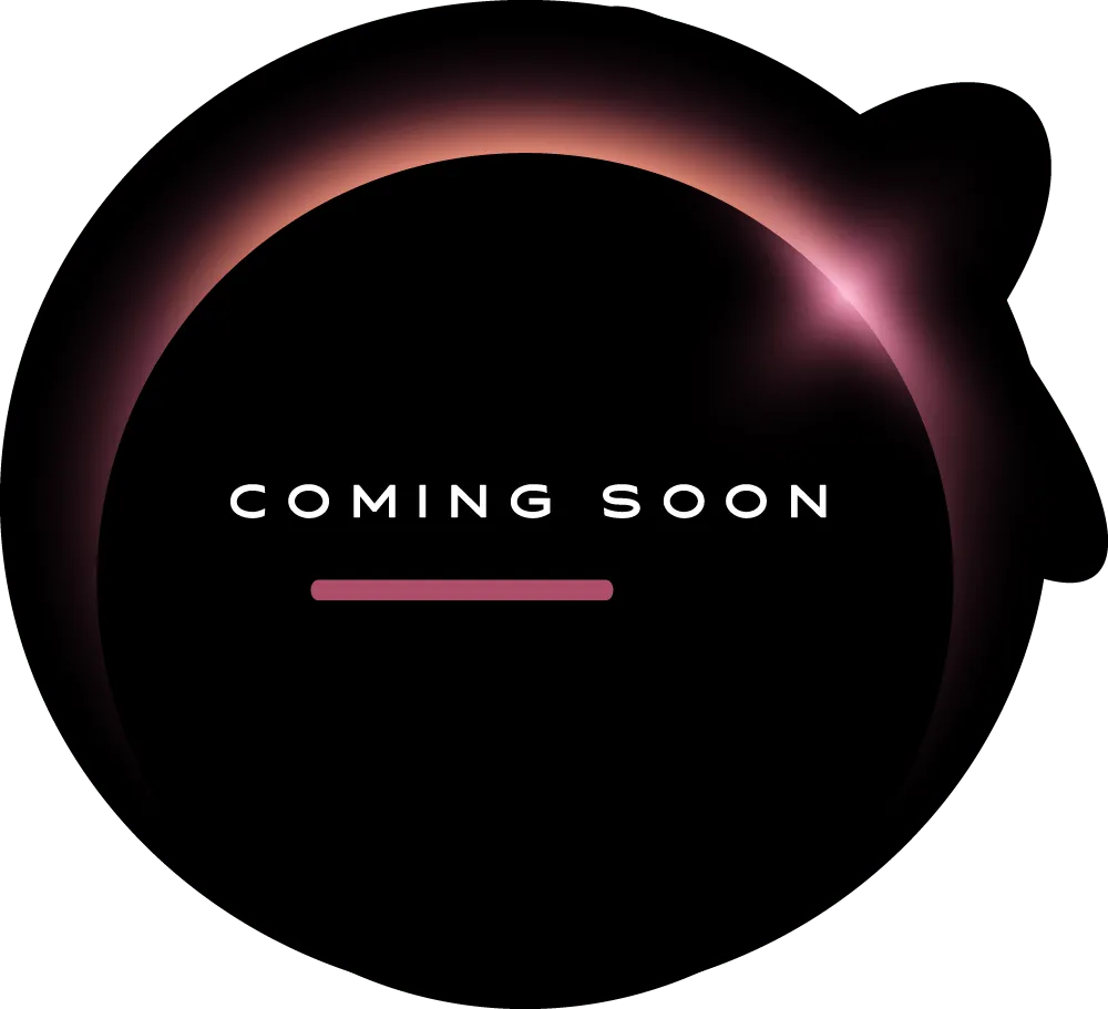 Designing a Ride-Matching Simulation: Uber Sim X